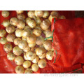 Tamaños 3.0-5.0cm Cebolla Amarilla Fresca